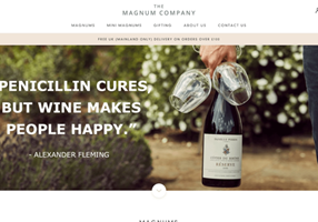 Boost Projekt - Die Firma Magnum