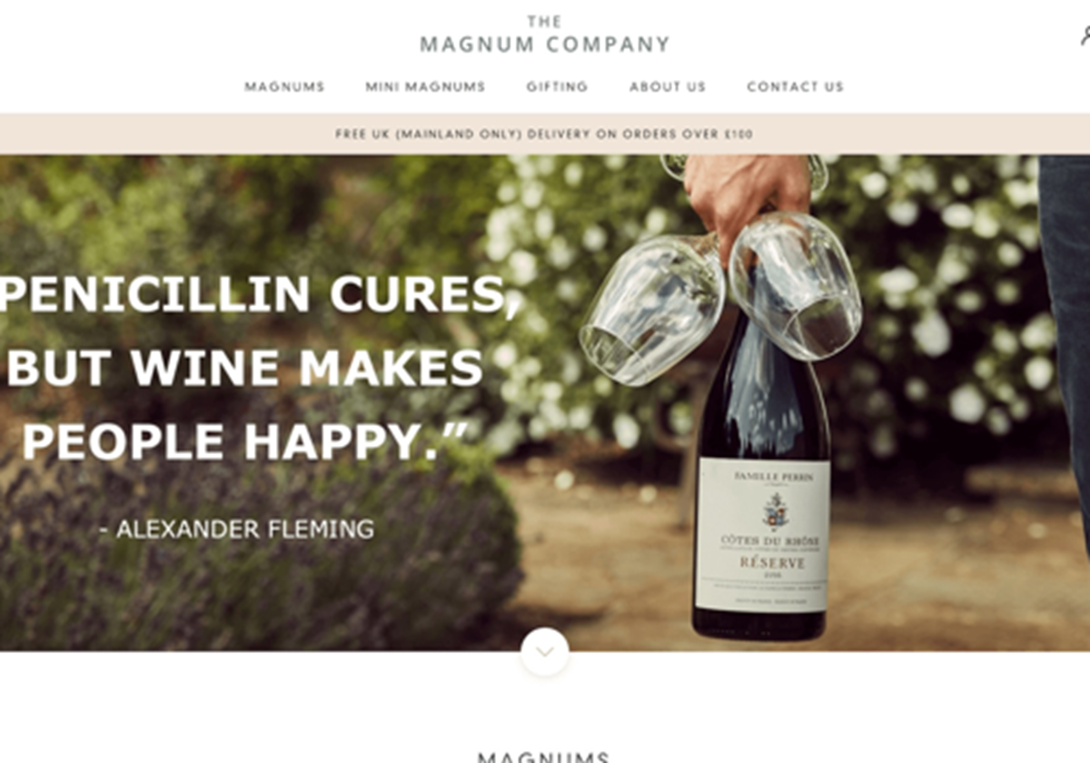 Die Firma Magnum - 
