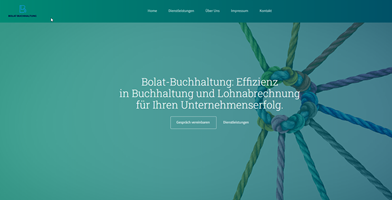 Buzzard-Webdesign Projekt - Start der Website