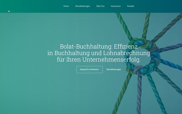 Buzzard-Webdesign Projekt - Start der Website