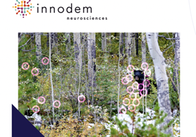 10xStudio Projekt - Innodem - KI zur Erkennung neurologischer Erkrankungen einsetzen