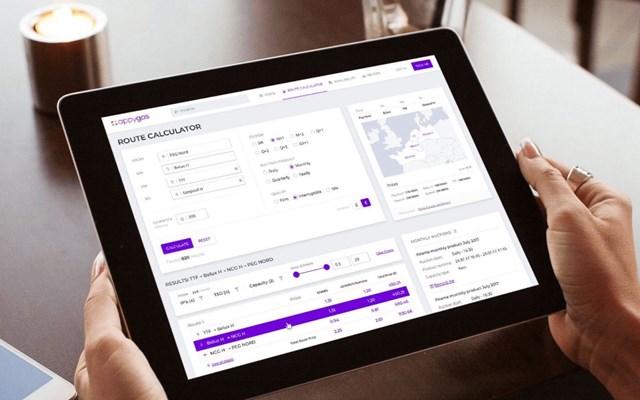 eleks GmbH Projekt - Wie der europäische Gasmarkt erstmalig digital wurde