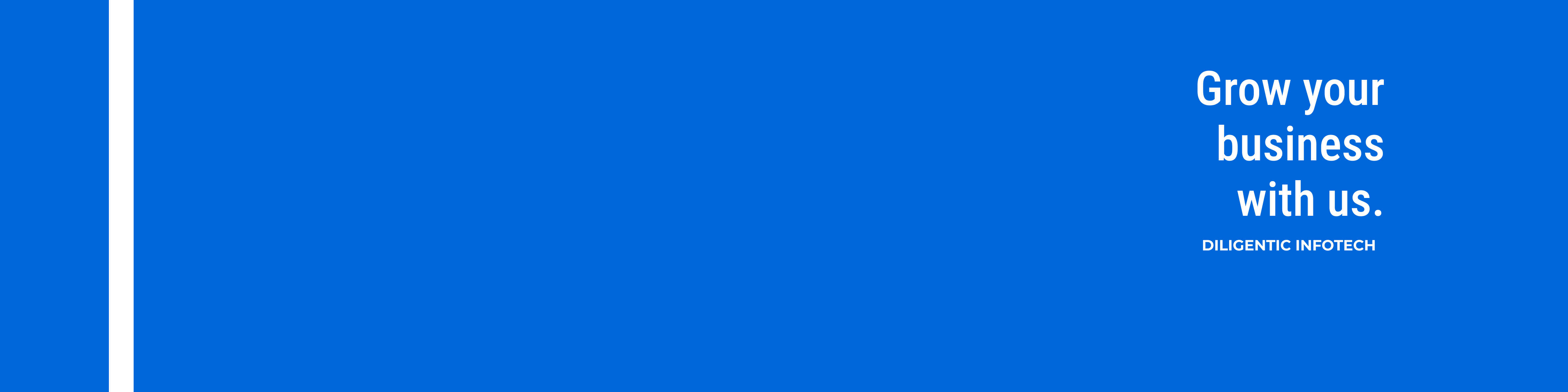 Diligentic Infotech Headerbild
