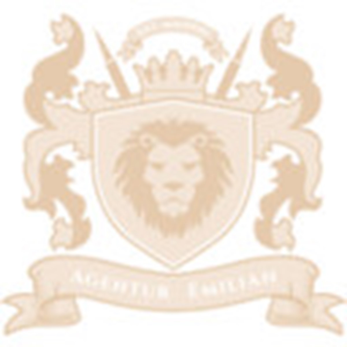 Agentur Emilian