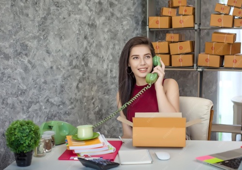 Top Virtual Assistant Projekt - ShopEase optimiert E-Commerce-Abläufe