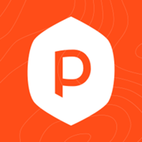 Peakfijn Logo