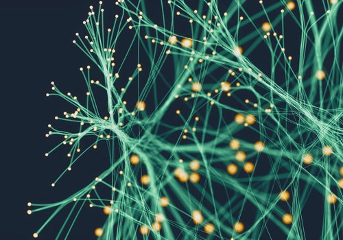 Divectors Projekt - Aufbau eines datengetriebenen Gesundheitssystem-Ökosystems