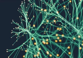 Divectors Projekt - Aufbau eines datengetriebenen Gesundheitssystem-Ökosystems