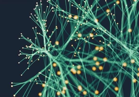 Divectors Projekt - Aufbau eines datengetriebenen Gesundheitssystem-Ökosystems