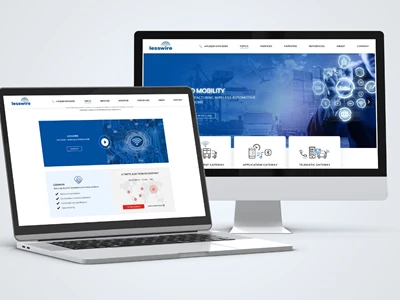 Website Relaunch Lesswire