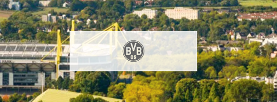 The Reach Group GmbH Projekt - Echte Liebe: Performantes Affiliate Marketing