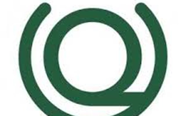 Deckweiss GmbH Projekt - Holzquelle Handelsplattform