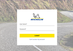 Boxinall Projekt - Michelin-Reifen