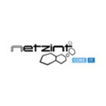 Netzint GmbH Logo