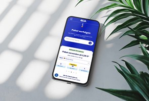 djumla GmbH Projekt - Website