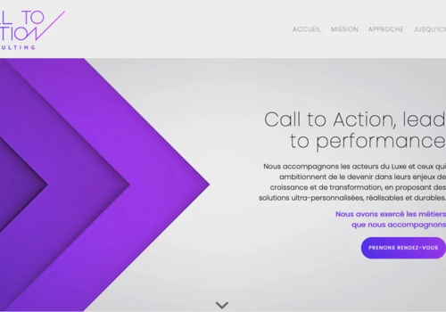 Limbus Studio Projekt - Website calltoaction-conseil.com