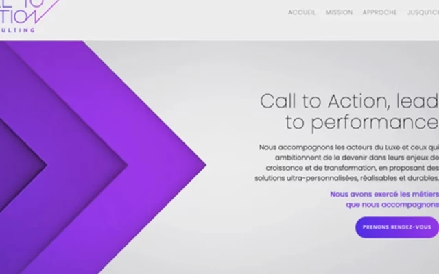 Limbus Studio Projekt - Website calltoaction-conseil.com