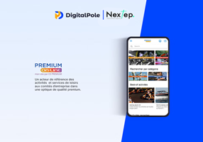 DigitalPole Projekt - CSE-Plattform, Funktionserweiterungen & Support