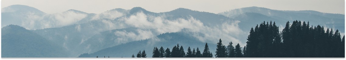 Snotor Headerbild