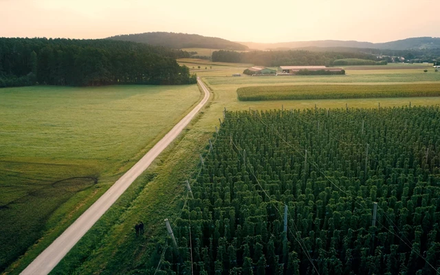 lichtschreiber Projekt - 100% Bio - 0% Kompromiss