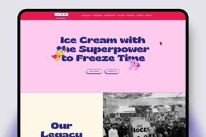 Elsner Technologies Pvt. Ltd. Projekt - Hocco