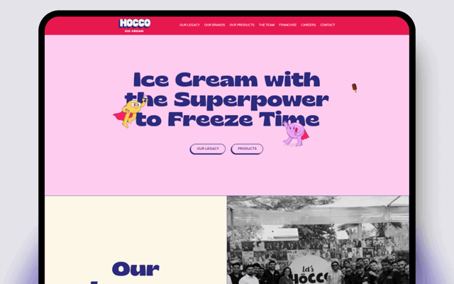 Elsner Technologies Pvt. Ltd. Projekt - Hocco