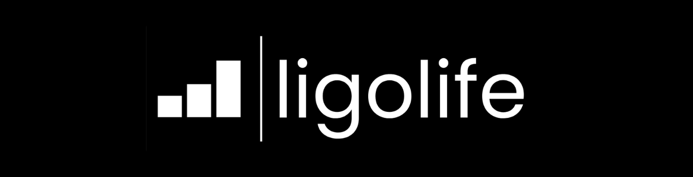 ligolife - Webdesign & Online-Marketing-Agentur Headerbild