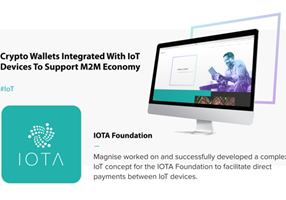 Magnise Projekt - Direkte Zahlungen zwischen IoT-Geräten