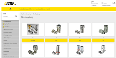 Cyber-Solutions Software GmbH Projekt - Entwicklung CICMP-Webshop und Einführung-ERP
