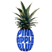 PineappleBlue - Agentur für Webdesign & Co