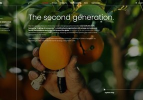 Kormoan Pvt Ltd Projekt - Digitales Erlebnis für einen weltweit tätigen Anbieter von frischem Obst und Gemüse.