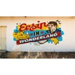 ERSIN graphics