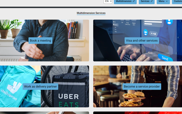 Entity Systems Projekt - Multidimension Services