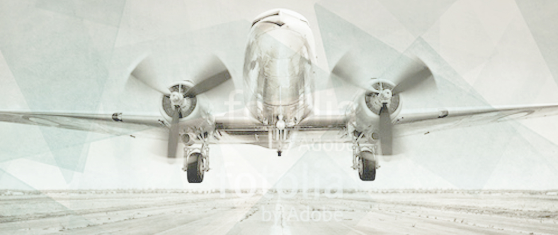 lia design Headerbild