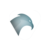 Buzzard-Webdesign Logo