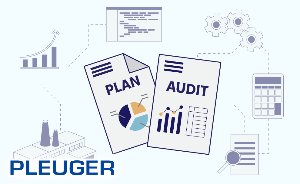 Chudovo OÜ Projekt - IT-Audit für den industriellen Hersteller