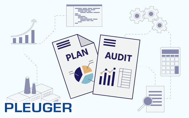 Chudovo OÜ Projekt - IT-Audit für den industriellen Hersteller