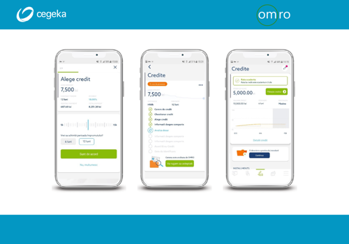 Cegeka Romania Projekt - Die schnelle und flexible Lösung für kleine Unternehmen