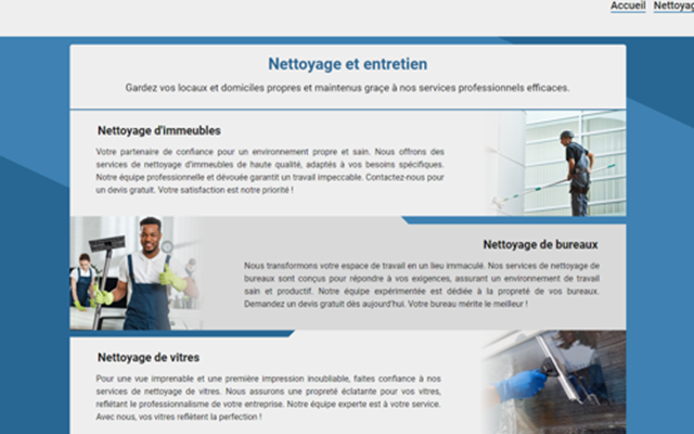 Entity Systems Projekt - Nettoyage Pro Express
