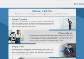 Entity Systems Projekt - Nettoyage Pro Express
