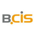 BCIS IT-Systeme GmbH & Co. KG Logo