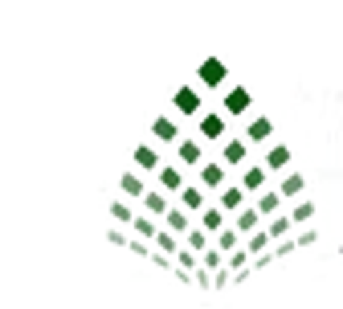 AI & Partners Logo