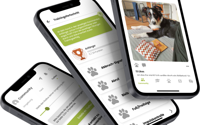 NEON Software Solutions GmbH Projekt - Hundeuniversität