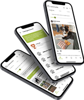 NEON Software Solutions GmbH Projekt - Hundeuniversität