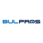 BulPros Consulting AG Logo