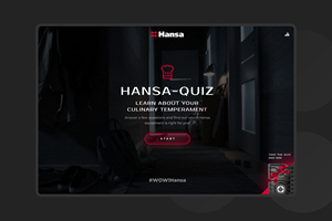 Dudka Agency Projekt - Hansa-Quiz
