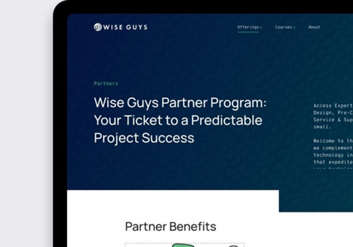 WiseGuys, Technology – E-Commerce - WiseGuys