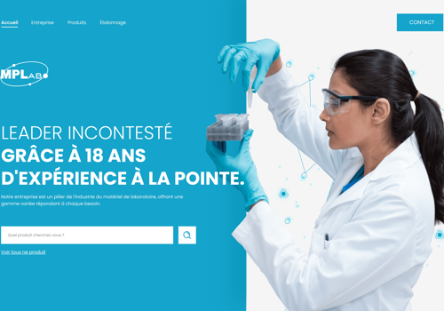 VIRALWAVE Projekt - WEBSITE-ENTWICKLUNG