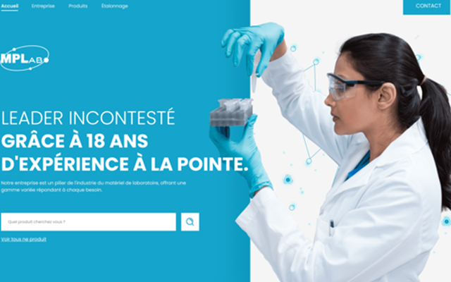 VIRALWAVE Projekt - WEBSITE-ENTWICKLUNG