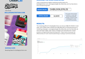 CreatikLab Projekt - Wachstum durch digitale Werbung über mehrere Kanäle